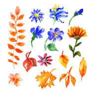 Set of watercolor flowers and leaves Vector