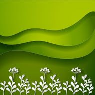 Wild flowers on green background