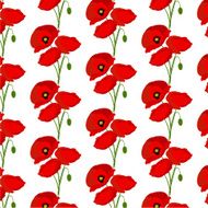 Seamless pattern with poppies flowers N3