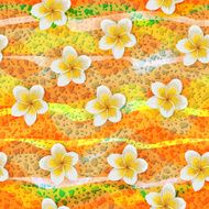 Tropical flowers plumeria N9