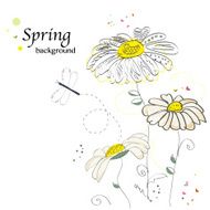 Romantic daisy flower greeting card vector N2