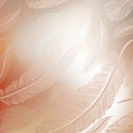 Abstract background with calligraphic feathers
