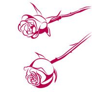 Vector drawing of roses N2
