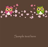 Two funny love the owl sitting on a flowering branch N3