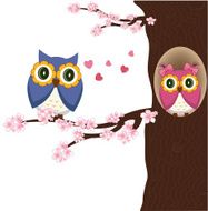 Owls on the tree