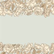 Flower peony background Floral seamless border