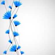 Abstract nature background Blue cornflowers N7