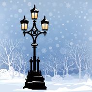 Park alleyway trees in snow Winter landscape Street lamp
