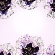 Isolated background with flowers Watercolor illustration N3