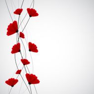 Abstract nature background Red poppy flowers N16