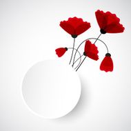 Abstract nature background Red poppy flowers N17