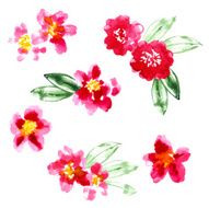 Collection of watercolor camellia flowers N2