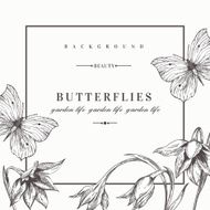 Background with flowers and butterflies N2