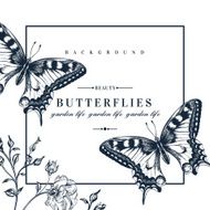 Card with butterflies and flowers N2