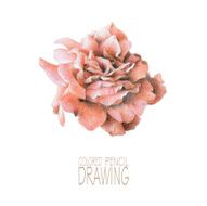 Illustration with spring flower N3