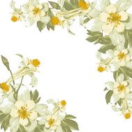 Frame with white blooming flowers N4