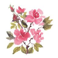 Watercolor flowers Roses N12