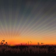 sunset meadow