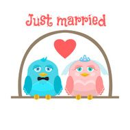 Just married Cute birds - the bride and groom