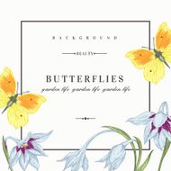 Background with flowers and butterflies N3