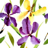 Iris watercolor can be used as greeting card N16