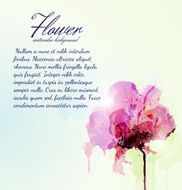 Flower Watercolor Background N9