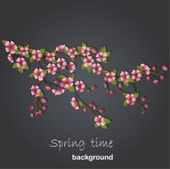 Background with pink cherry blossom N2