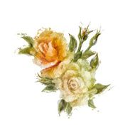 Vintage style white and yellow roses N3