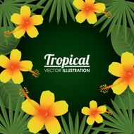 Flowers design vector illustration N29
