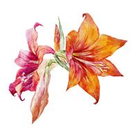 Watercolor Flowers N122