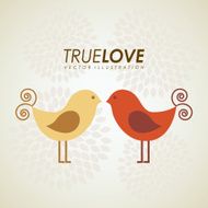 Bird Design N6