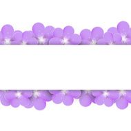 Lilac flowers border