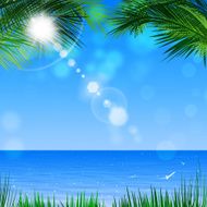 Tropical View Through Palm Trees