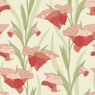 Gladiolus N5