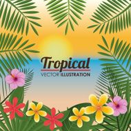 Flowers design vector illustration N35