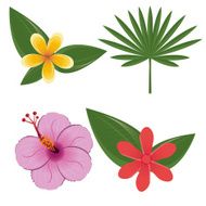 Flowers design vector illustration N37