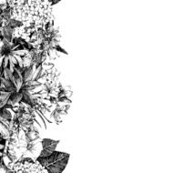 Hand drawn seamless floral border N3