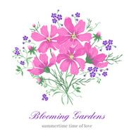 flowers on a white background N2