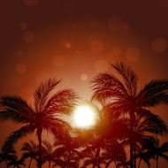 Pacific Palms