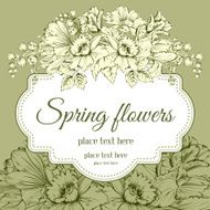 spring flowers N17