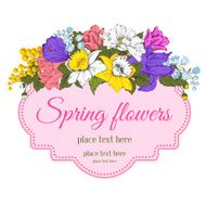 spring flowers N18