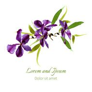 Iris watercolor can be used as greeting card N18