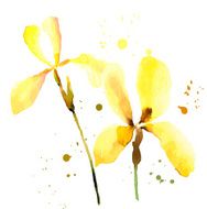 Iris watercolor can be used as greeting card N19