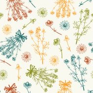 Vintage background with chamomile flowers sketch