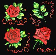 Red rose set with lace on black background