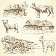 rural landscape village farm animals