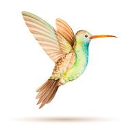 Hummingbird N7