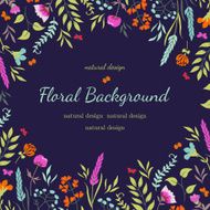 Floral background with flowers and herbs N2