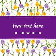 Background with space for text ornament and spring flowers crocuses
