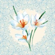 vector watercolor crocus flower N2